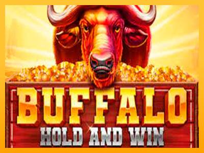 Buffalo Hold and Win Extreme játékgép pénzért