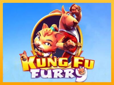 Kung fu Furry játékgép pénzért