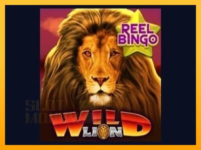 Wild Lion with Reel Bingo játékgép pénzért