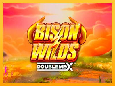 Bison Wilds DoubleMax játékgép pénzért