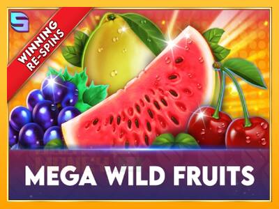 Mega Wild Fruits játékgép pénzért