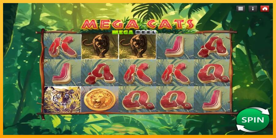 Mega Cats Mega Reel játékgép pénzért, kép 2