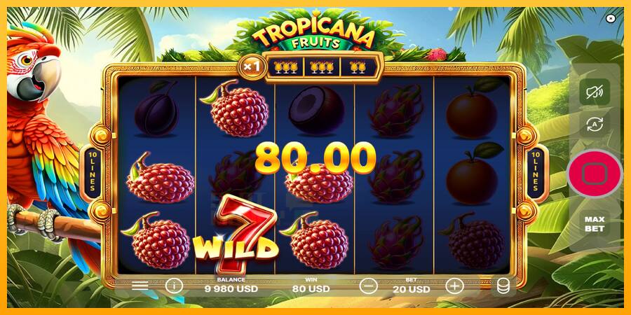 Tropicana Fruits játékgép pénzért, kép 3