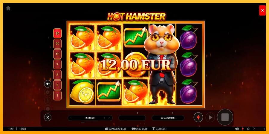 Hot Hamster játékgép pénzért, kép 5