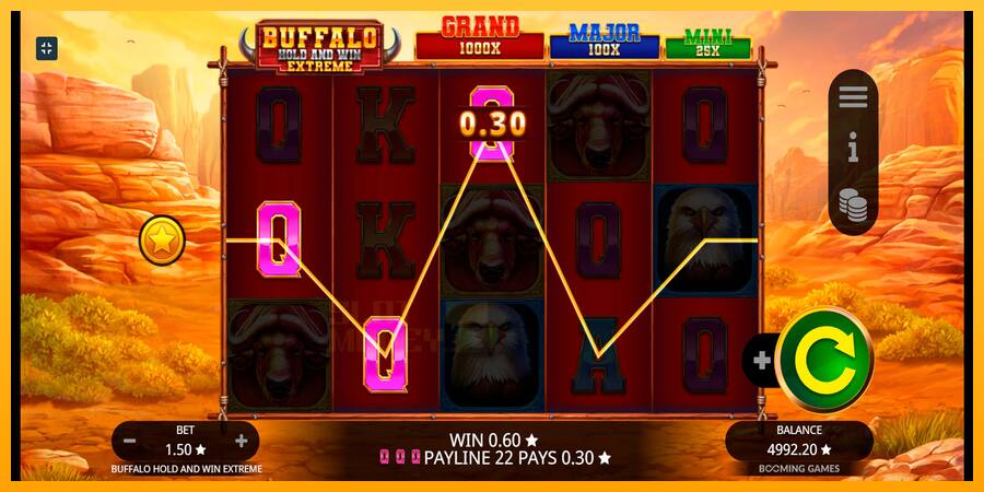 Buffalo Hold and Win Extreme játékgép pénzért, kép 4