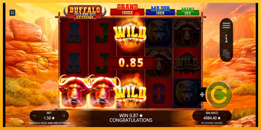 Buffalo Hold and Win Extreme játékgép pénzért, kép 6