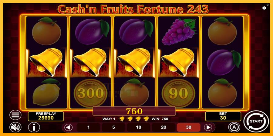 Cashn Fruits Fortune 243 játékgép pénzért, kép 5