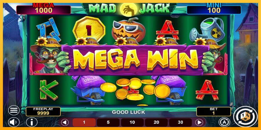 Mad Jack Hold & Win játékgép pénzért, kép 2