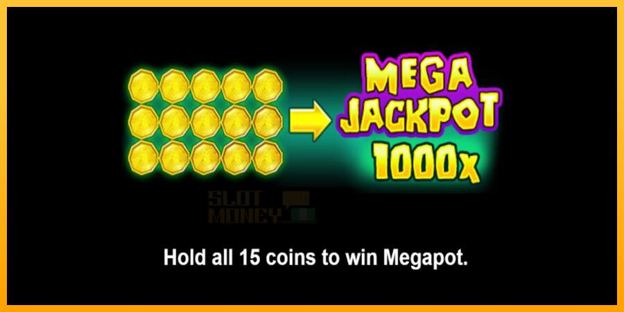 Mad Jack Hold & Win játékgép pénzért, kép 5